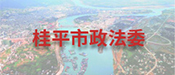 桂平政法委视频会议案例